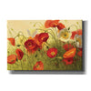 'Havin a Heat Wave' by Shirley Novak, Canvas Wall Art