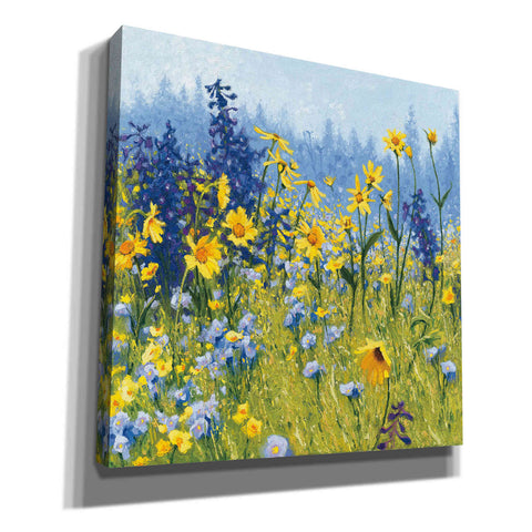 Image of 'Joyful in July III' by Shirley Novak, Canvas Wall Art