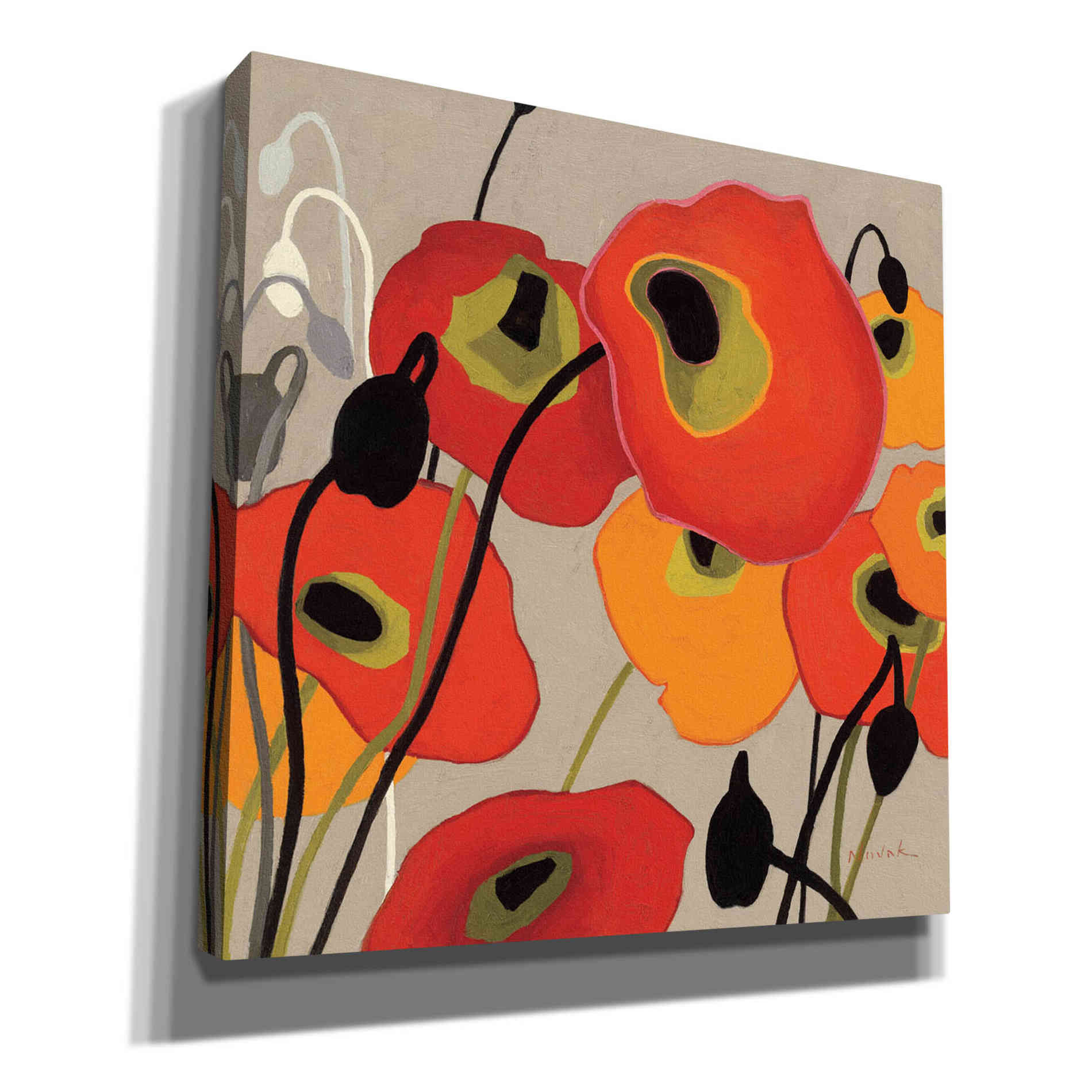'Mango Tango II' by Shirley Novak, Canvas Wall Art