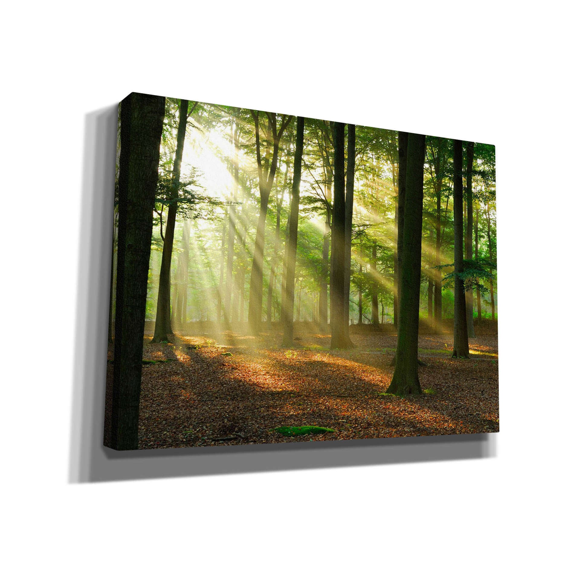 'Rays of Light' Giclee Canvas Wall Art