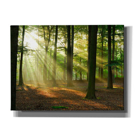 'Rays of Light' Canvas Wall Art