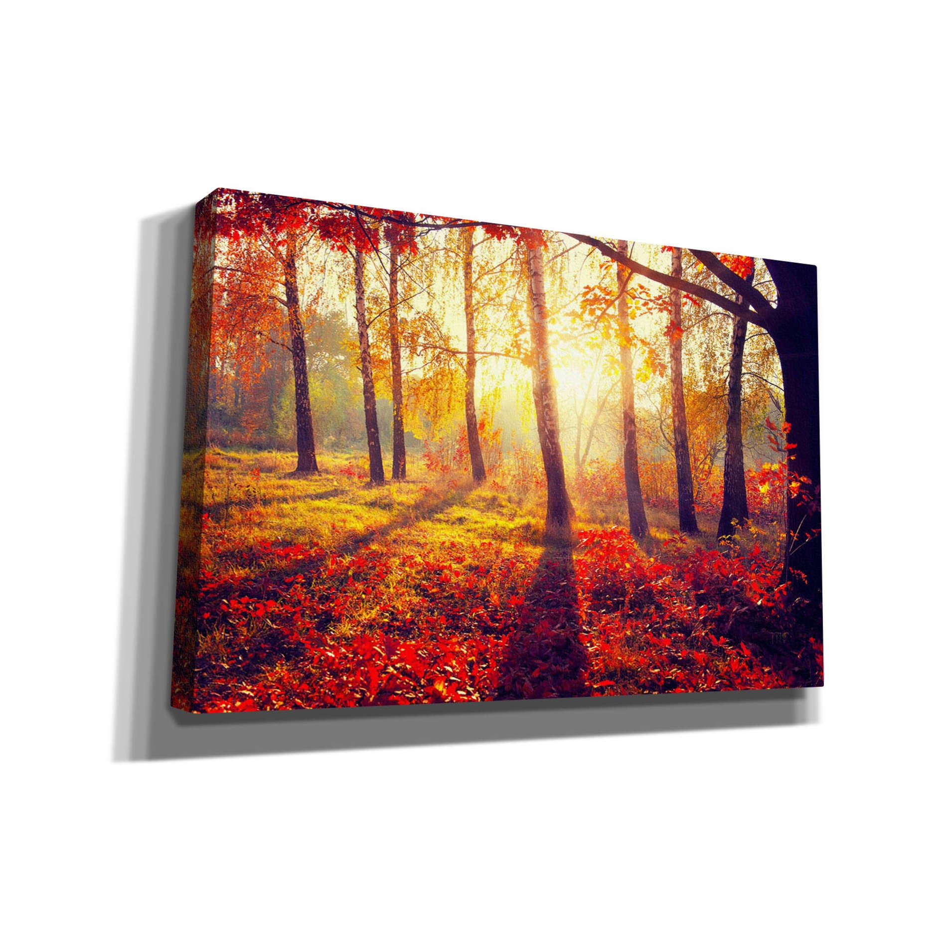 'Golden Afternoon' Giclee Canvas Wall Art