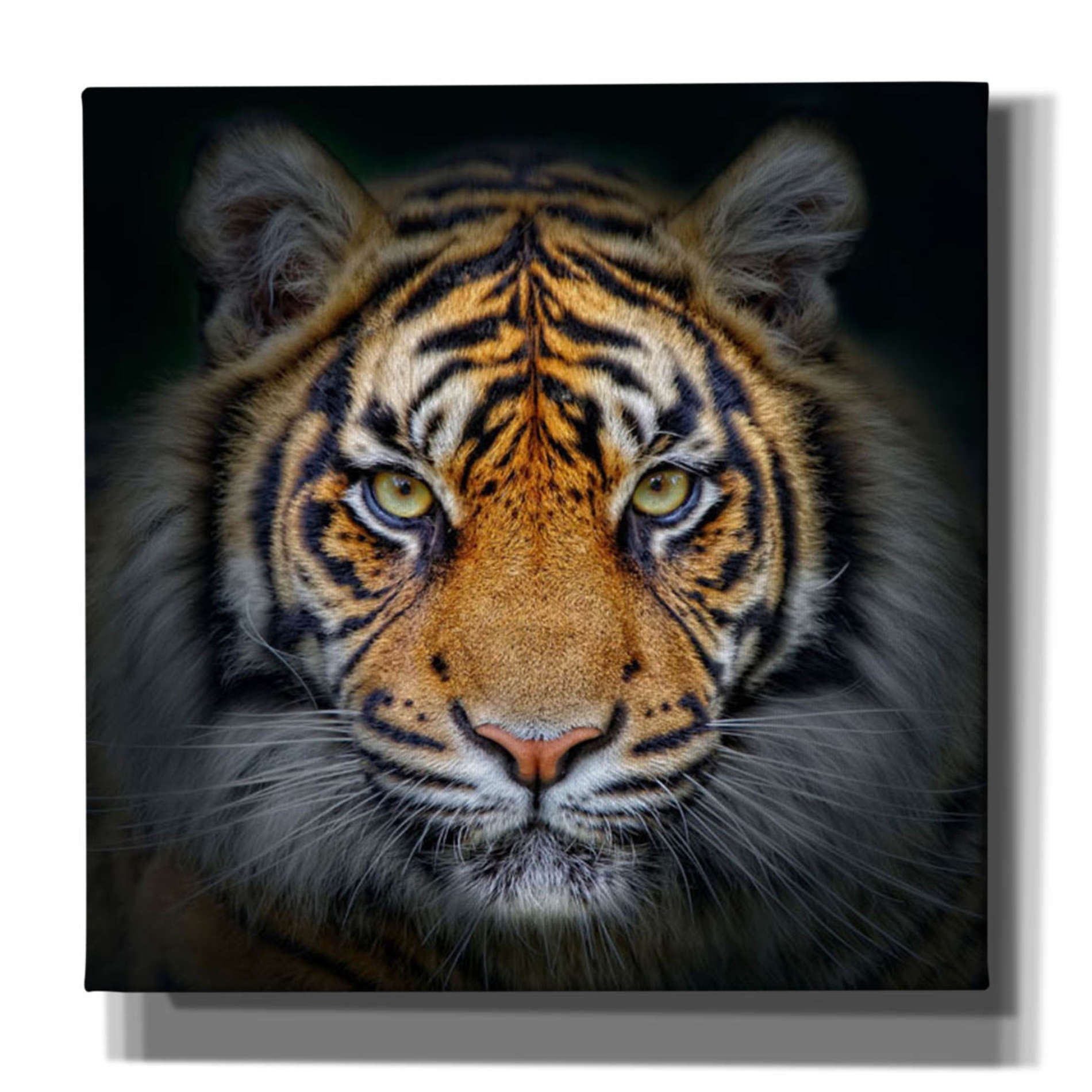 'Wild Side' Giclee Canvas Wall Art