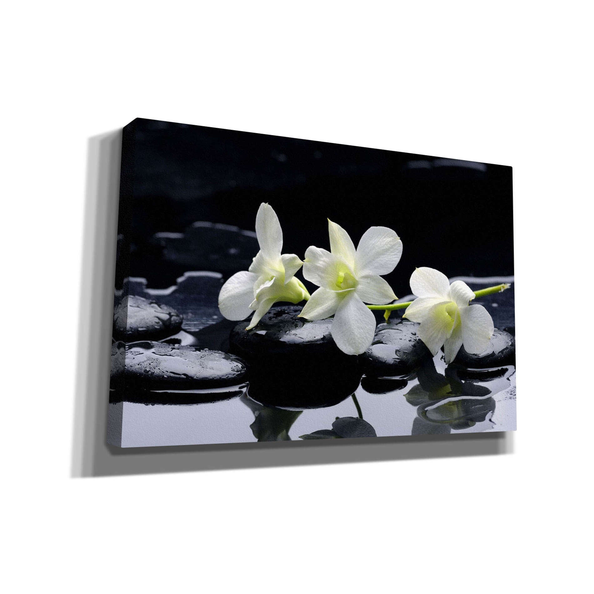 'The Light of Three' Giclee Canvas Wall Art