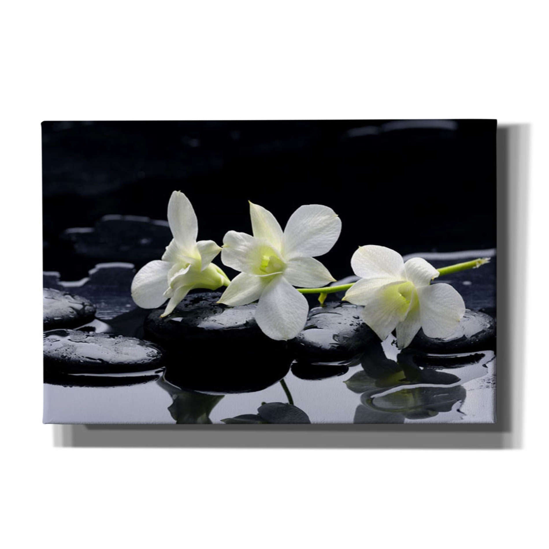 'The Light of Three' Giclee Canvas Wall Art