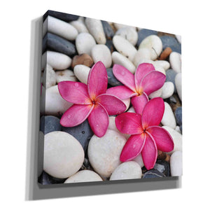 'Shintai II' Canvas Wall Art,Size 1 Square