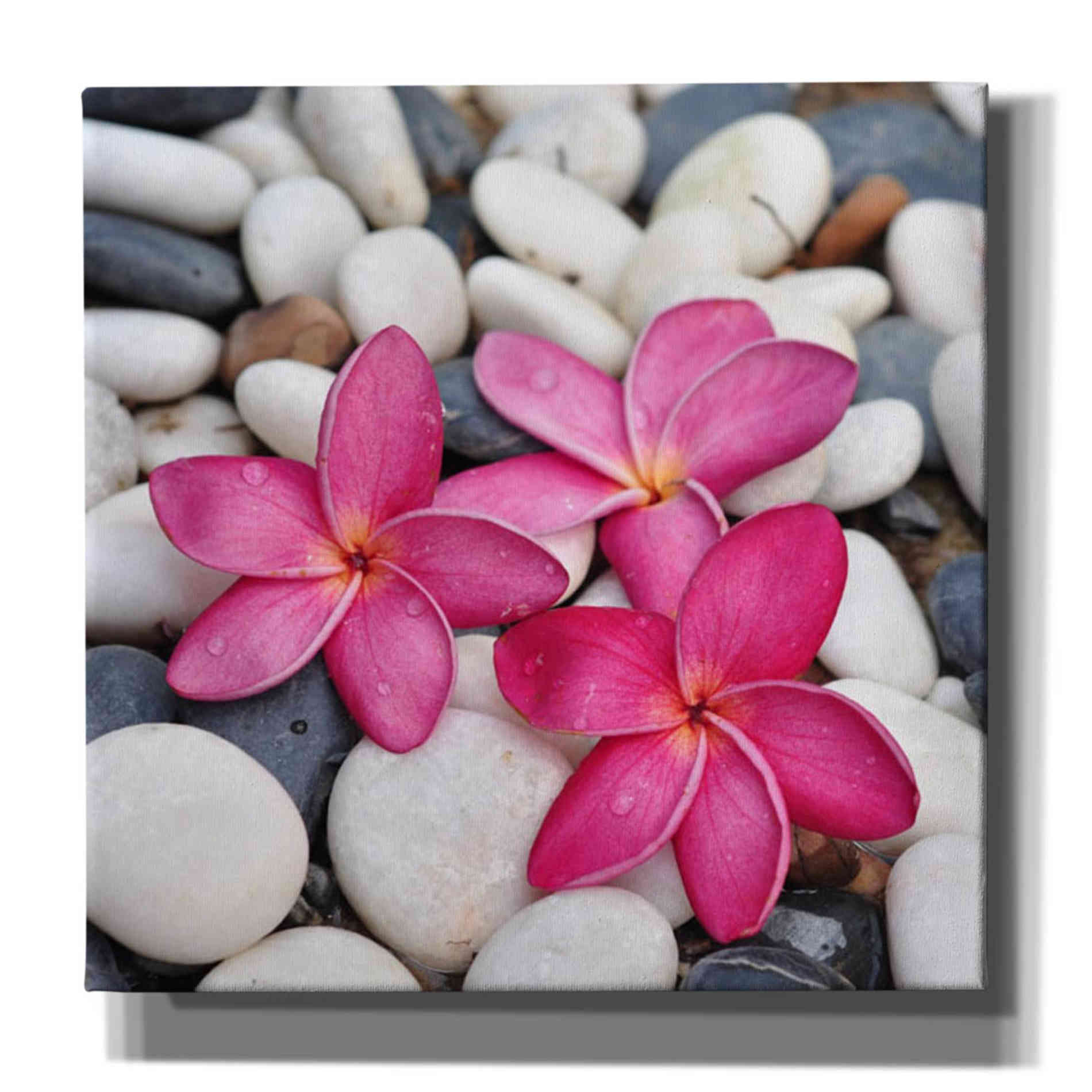 'Shintai II' Canvas Wall Art,Size 1 Square