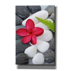 'Wabi-Sabi I' Canvas Wall Art,Size A Portrait