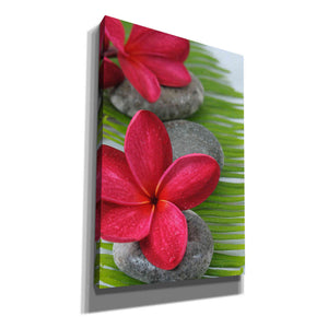 'Wabi Sabi II' Canvas Wall Art,Size A Portrait