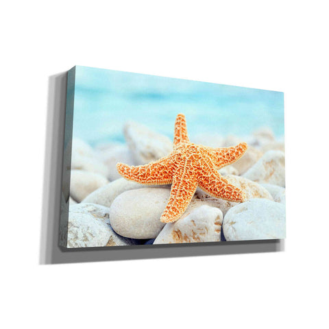 Image of 'Sea Star Dreams' Giclee Canvas Wall Art