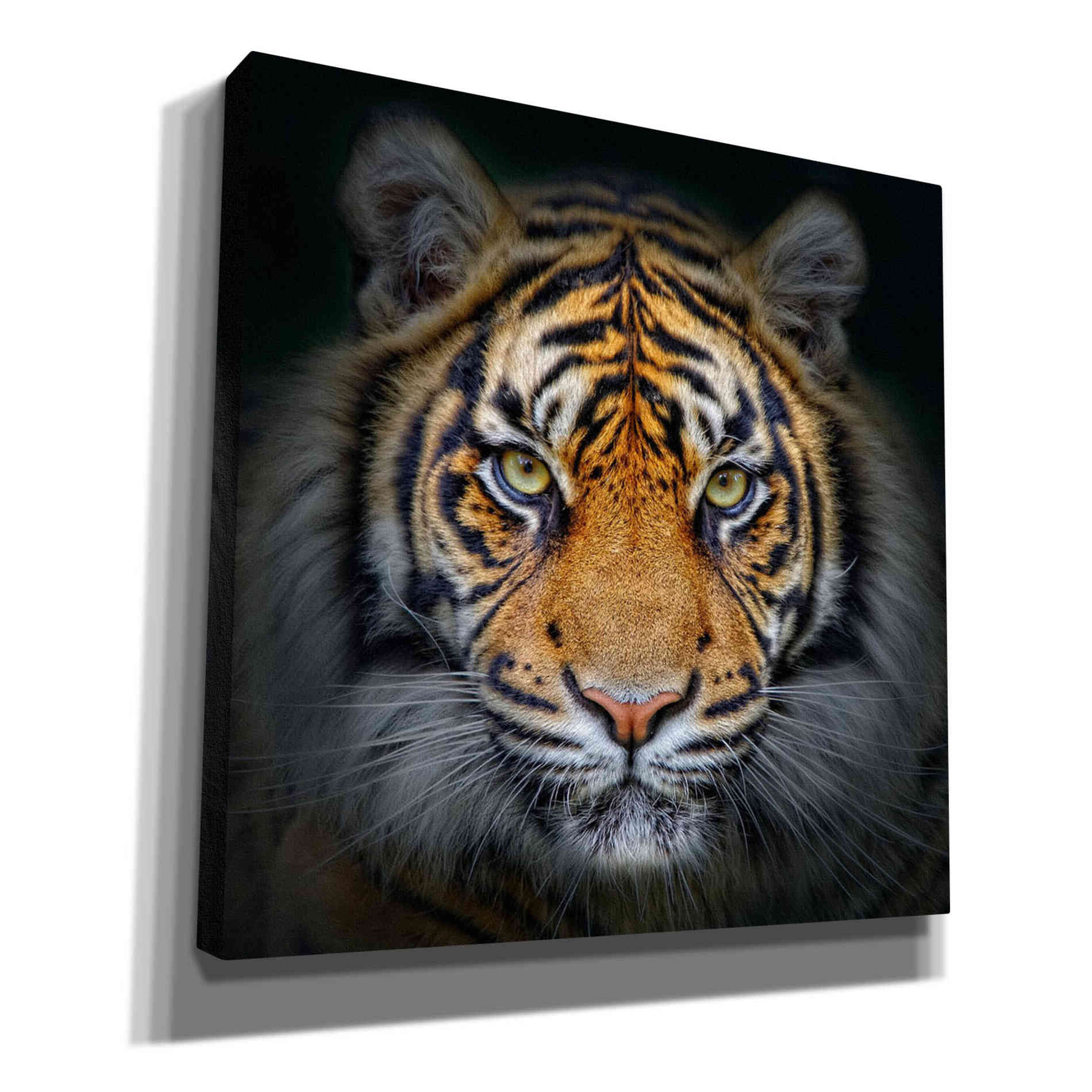 'Wild Side' Canvas Wall Art