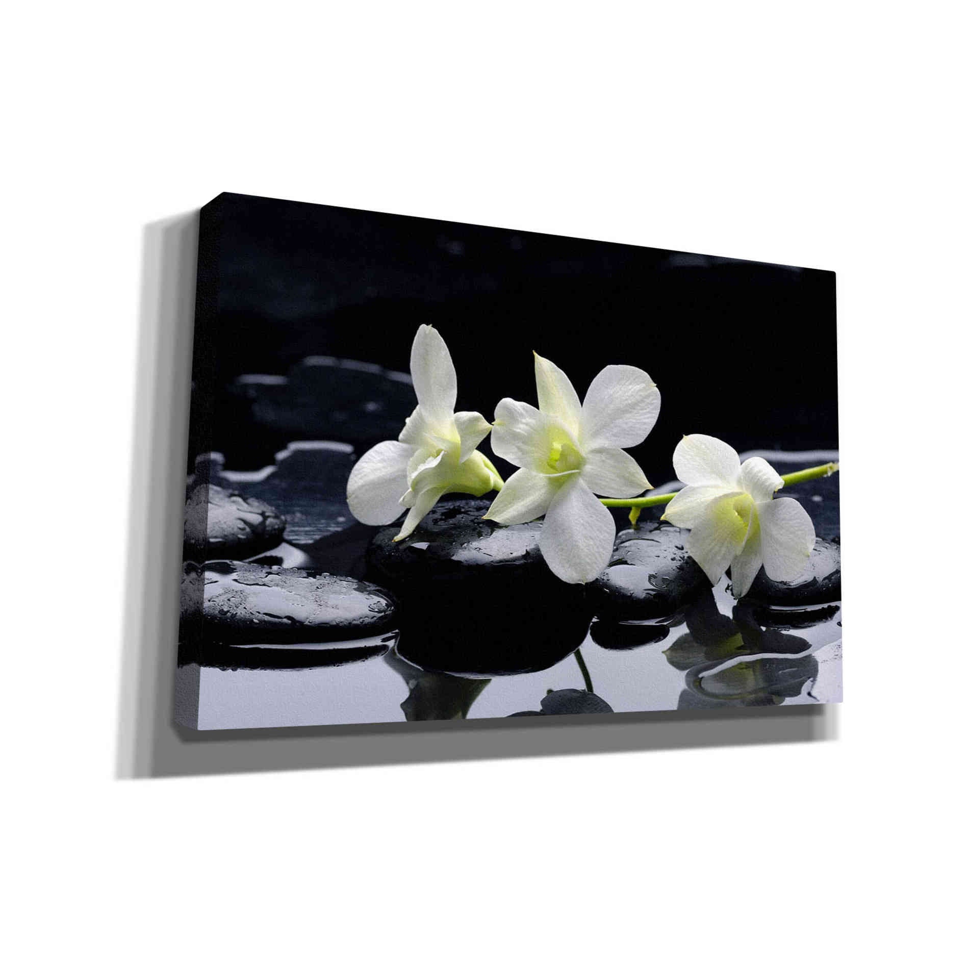 'The Light of Three' Canvas Wall Art