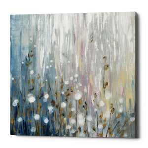 'January Branches' by Silvia Vassileva, Canvas Wall Art,Size 1 Square