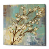 'Kyoto Blossoms I' by Silvia Vassileva, Canvas Wall Art,Size 1 Square