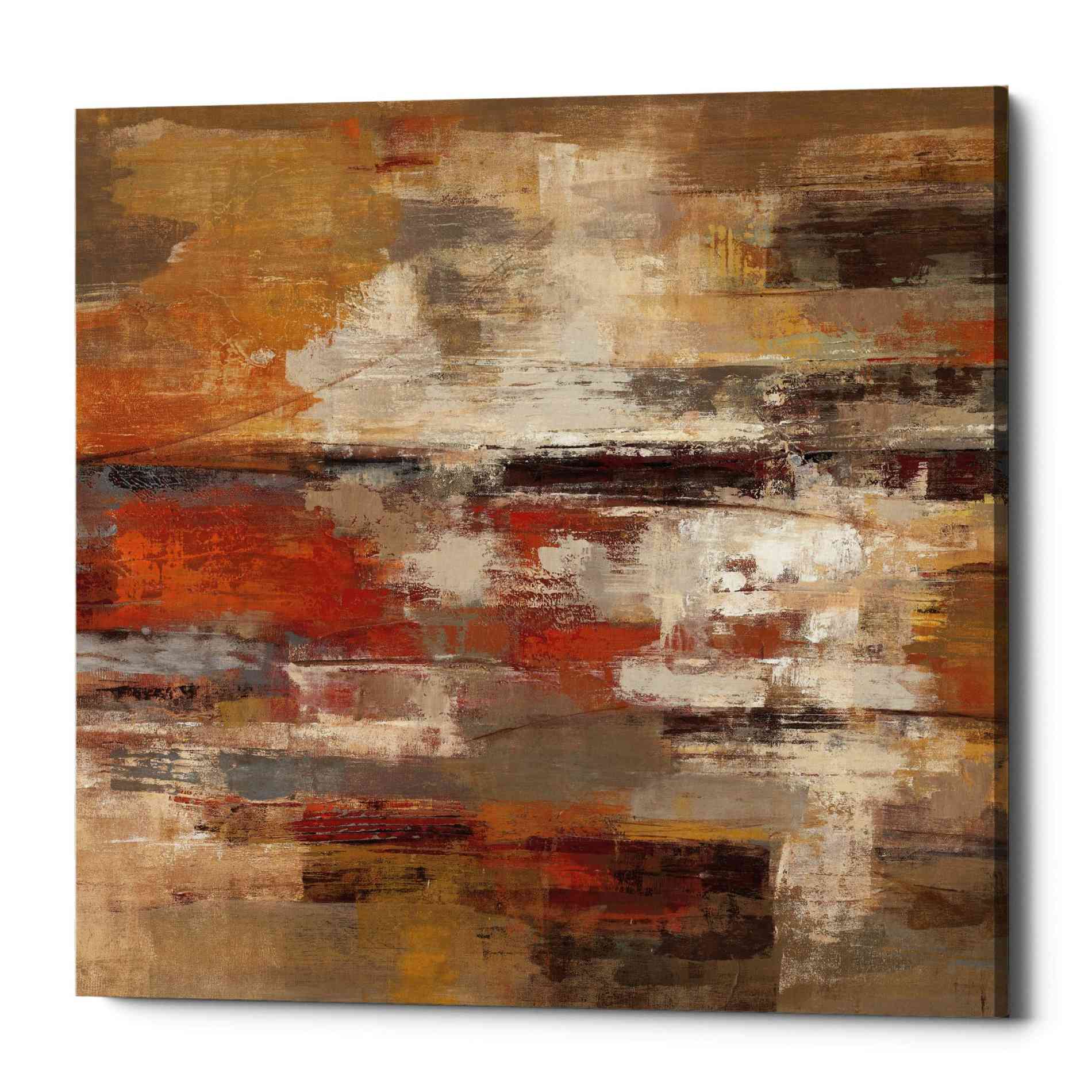 'Painted Desert' by Silvia Vassileva, Canvas Wall Art,Size 1 Square
