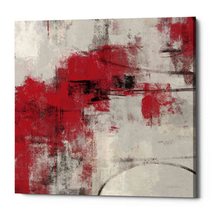 'Stone Gardens II Red' by Silvia Vassileva, Canvas Wall Art,Size 1 Square