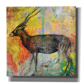 'Arty Beast 2' by Karen Smith, Canvas Wall Art