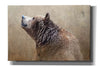 'Big Bear' by Karen Smith, Canvas Wall Art