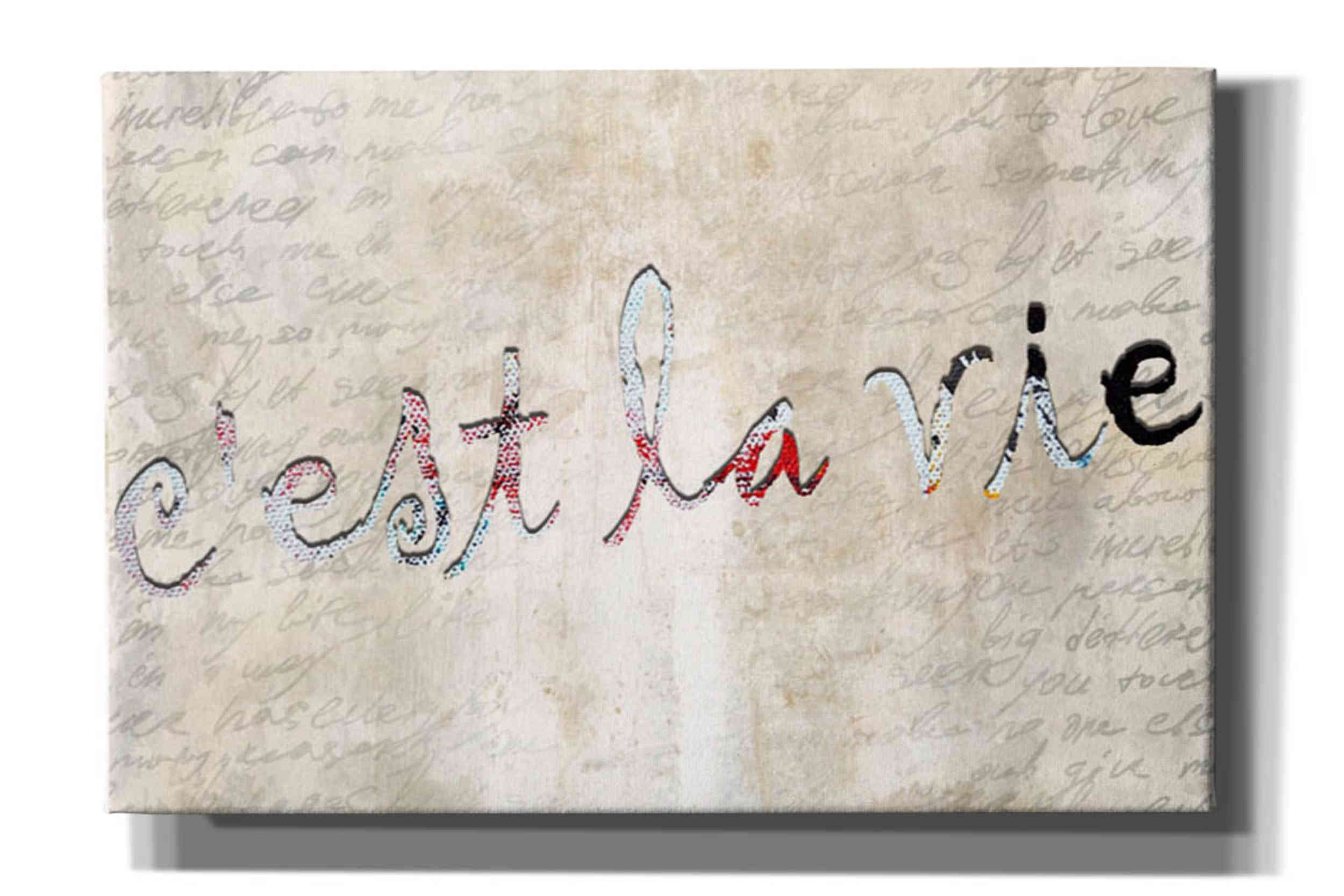 'C'est' by Karen Smith, Canvas Wall Art