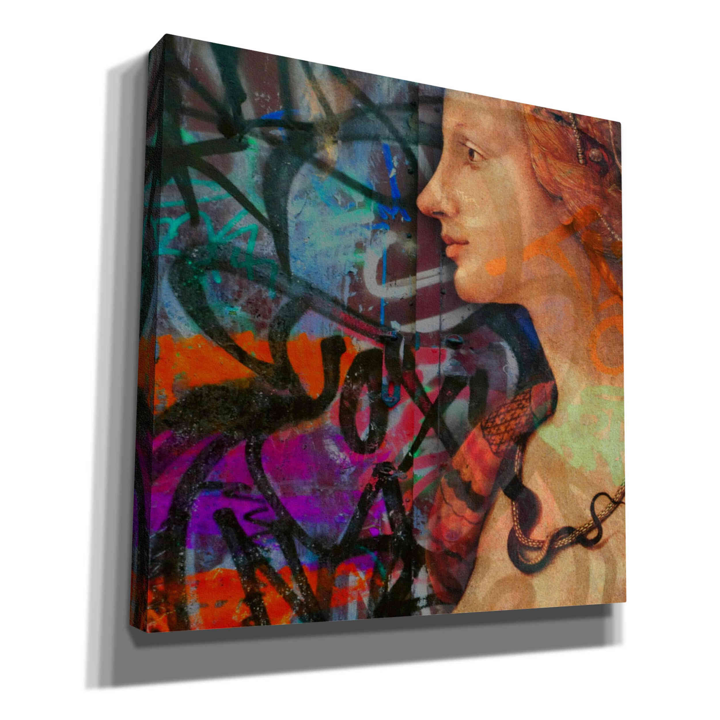 'Classic Graffiti' by Karen Smith, Canvas Wall Art