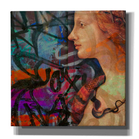 'Classic Graffiti 2' by Karen Smith, Canvas Wall Art