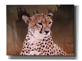'Wildness Cheetah' by Karen Smith, Canvas Wall Art