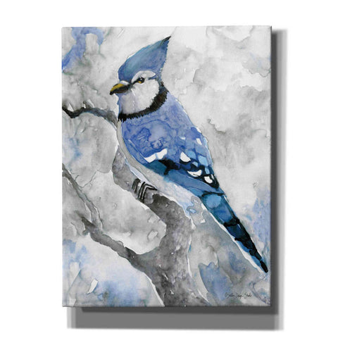 Image of 'Blue Jay 2' by Stellar Design Studio, Canvas Wall Art,Size B Portrait