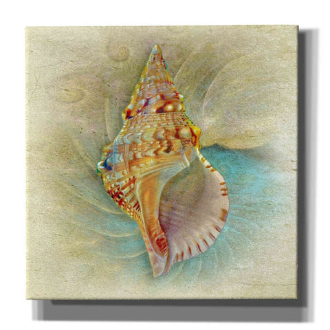 Image of 'Aquatica I' by Steve Hunziker Giclee Canvas Wall Art
