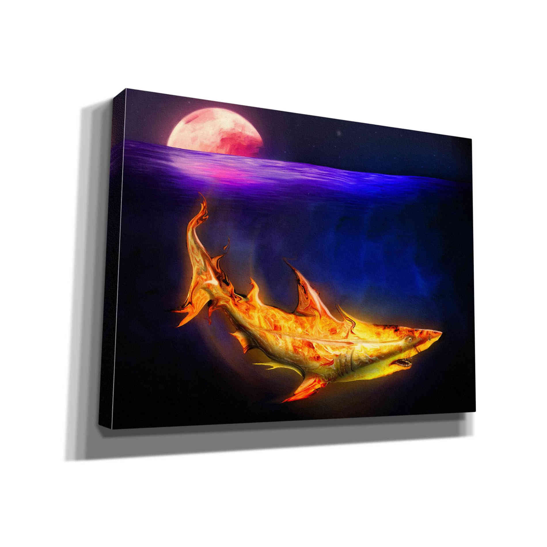 'Mako Shark' by Michael StewArt, Giclee Canvas Wall Art