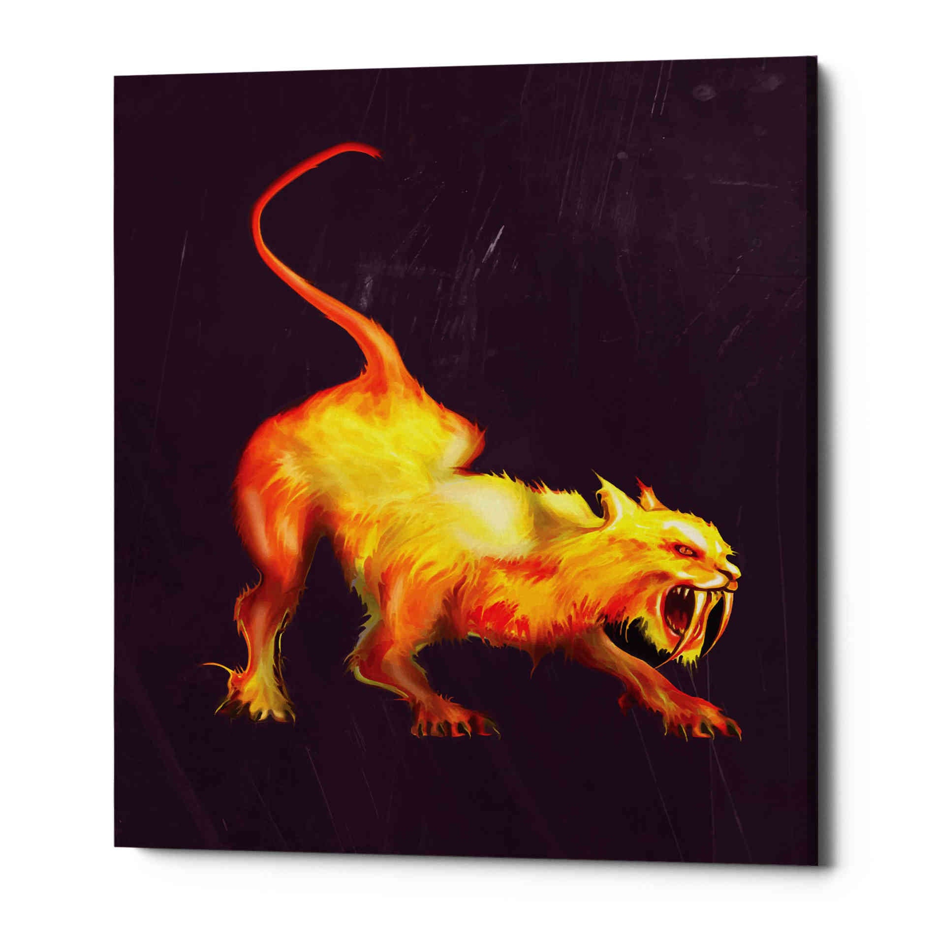 'Saber Tooth' by Michael StewArt, Canvas Wall Art