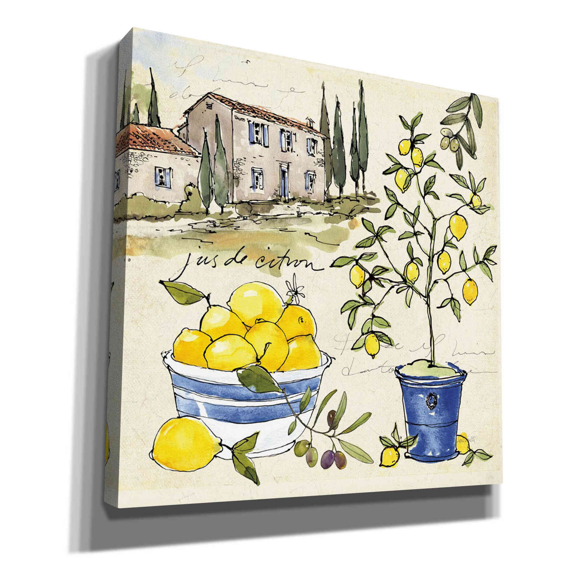 'Citron III' by Anne Tavoletti, Canvas Wall Art