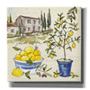 'Citron III' by Anne Tavoletti, Canvas Wall Art