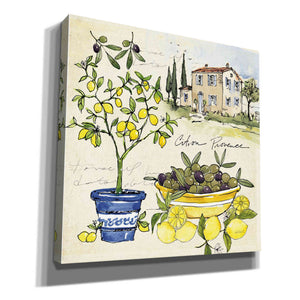 'Citron IV' by Anne Tavoletti, Canvas Wall Art