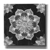 'Mandala Morning V Black and White' by Anne Tavoletti, Canvas Wall Art