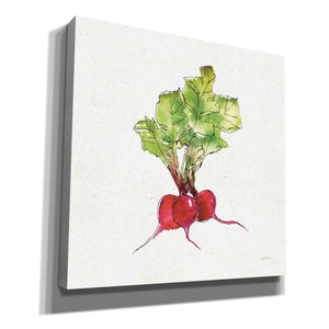 'Veggie Market II Radish' by Anne Tavoletti, Canvas Wall Art