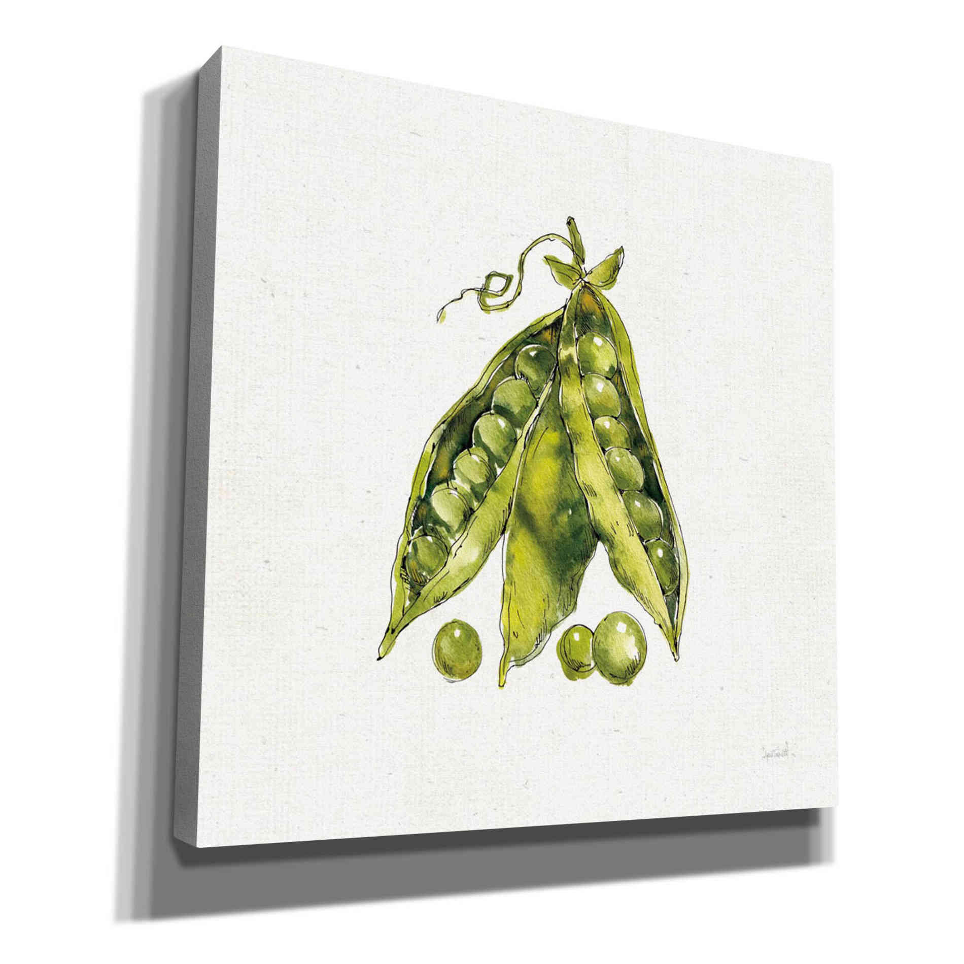 'Veggie Market IV Peas' by Anne Tavoletti, Canvas Wall Art