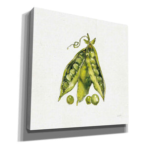 'Veggie Market IV Peas' by Anne Tavoletti, Canvas Wall Art