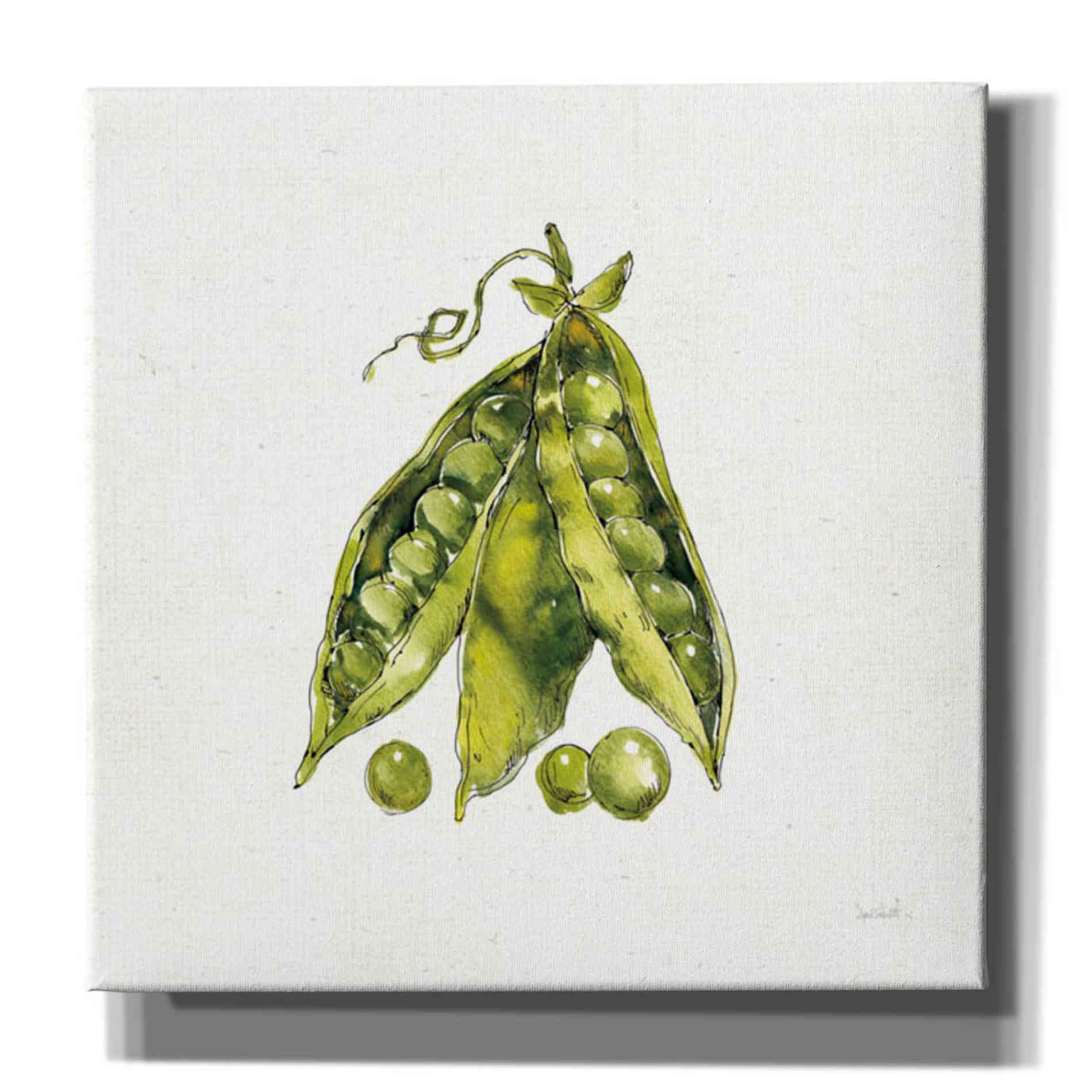'Veggie Market IV Peas' by Anne Tavoletti, Canvas Wall Art