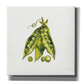 'Veggie Market IV Peas' by Anne Tavoletti, Canvas Wall Art