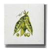'Veggie Market IV Peas' by Anne Tavoletti, Canvas Wall Art