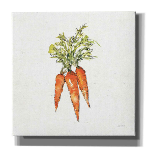 Image of 'Veggie Market V Carrots' by Anne Tavoletti, Canvas Wall Art
