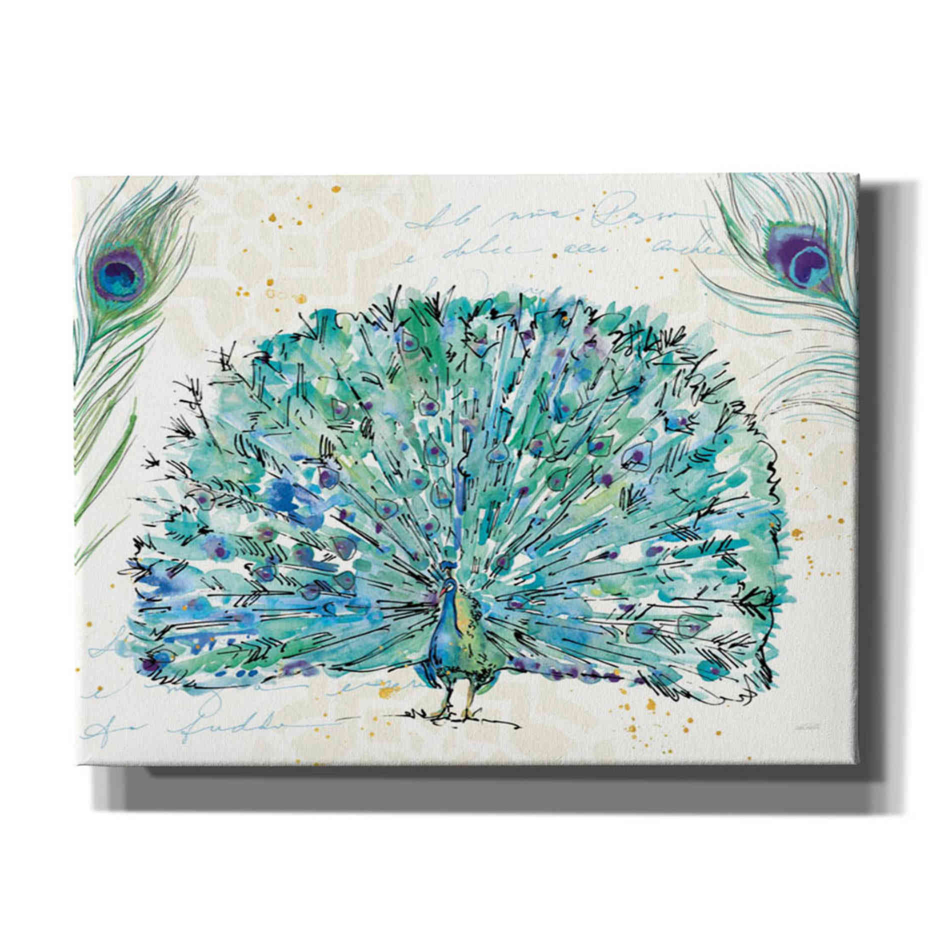 'Peacock Garden IX' by Anne Tavoletti, Canvas Wall Art