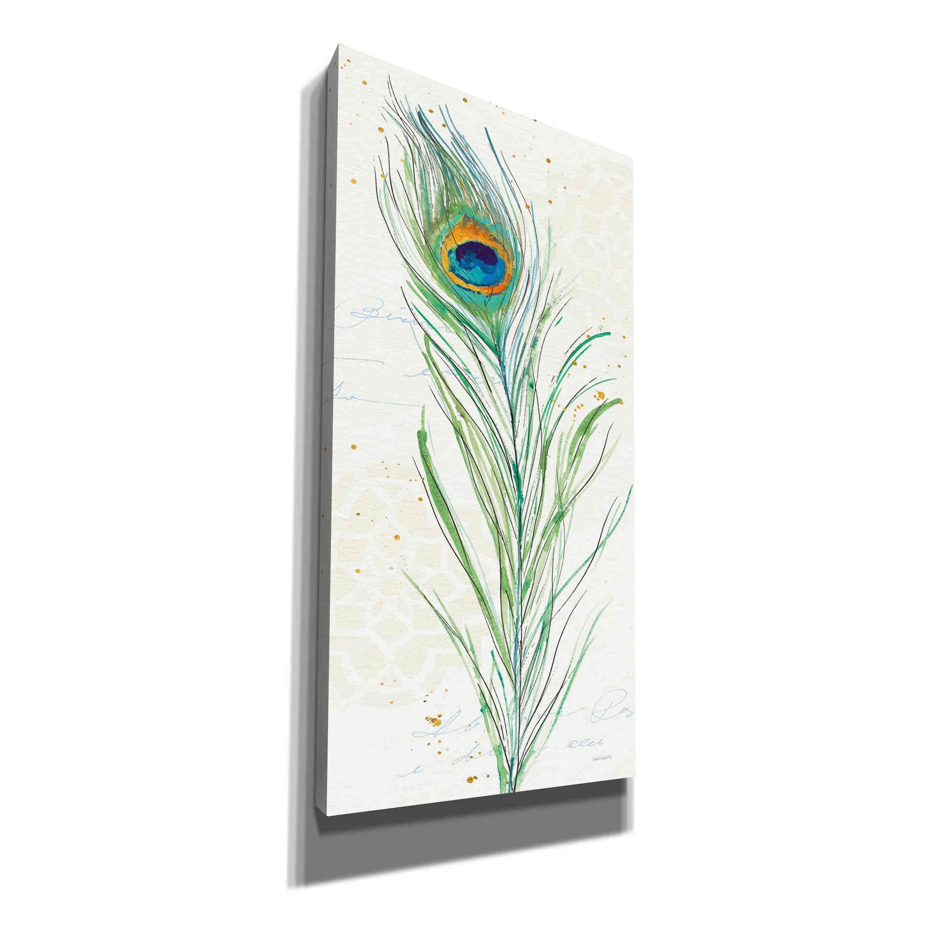 'Peacock Garden VI' by Anne Tavoletti, Canvas Wall Art