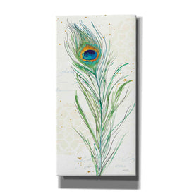 'Peacock Garden VI' by Anne Tavoletti, Canvas Wall Art