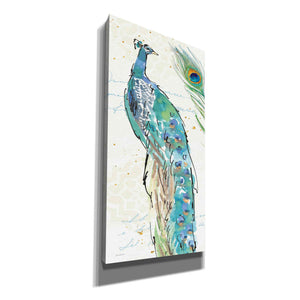 'Peacock Garden IV' by Anne Tavoletti, Canvas Wall Art
