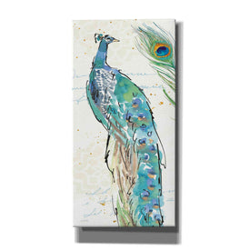 'Peacock Garden IV' by Anne Tavoletti, Canvas Wall Art