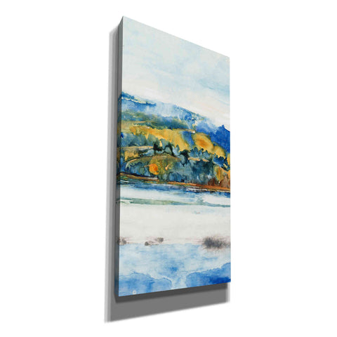 Image of 'Island Mist II' by Tim O'Toole Canvas Wall Art