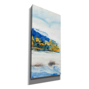 'Island Mist III' by Tim O'Toole Canvas Wall Art