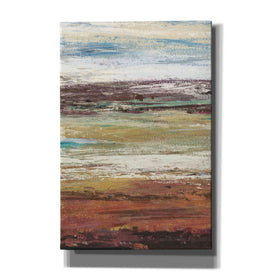 'Plum Vista I' by Tim OToole Canvas Wall Art