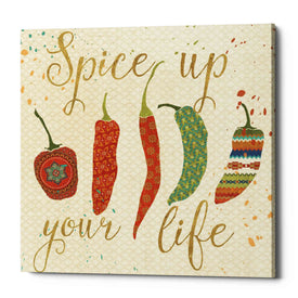 'Mexican Fiesta V' by Veronique Charron, Canvas Wall Art